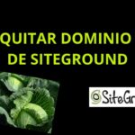 Como Eliminar Un Dominio De Siteground